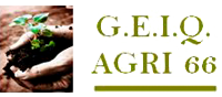 Geiq Agri 66